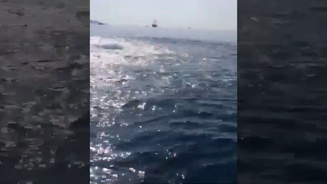 Названа возможная причина бурлящего фонтана в море возле Сочи смотреть онлайн