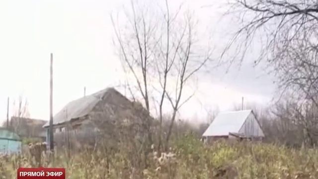 Бытовая техника в поселке Кузино ушла в вынужденный отпуск смотреть онлайн