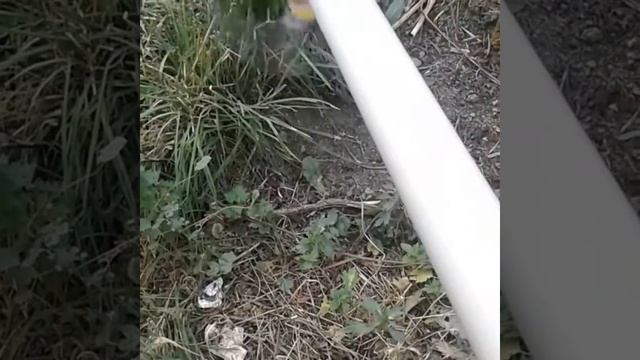 Խոտհնձիչ մեքենա смотреть онлайн