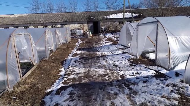 #клкубника#подготовка#весна#мороз смотреть онлайн