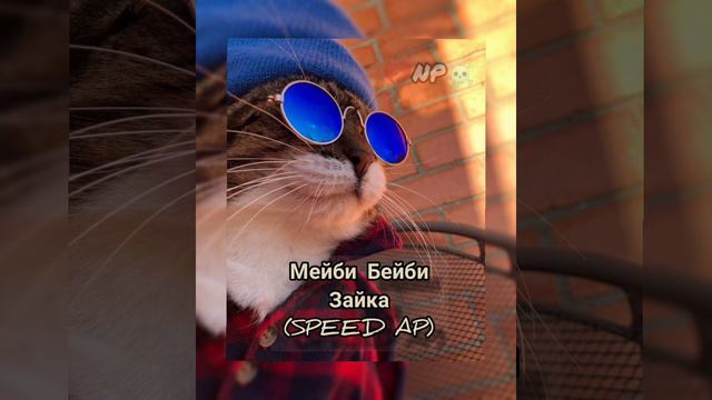 Мэйби Бэйби - зайка (SPEED AP) #врек #мейбибейби #музыка #зайка смотреть онлайн