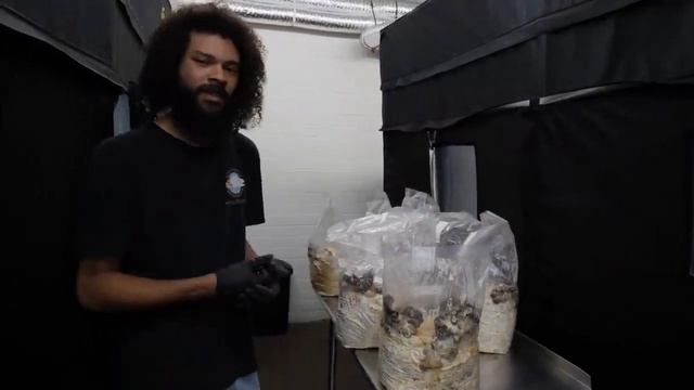 Блоки для производства грибов Майтаке — Переклад Central Mushroom Farm смотреть онлайн