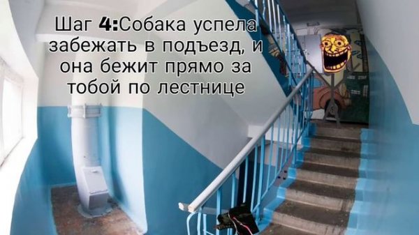 Инцидент: Злая собака (_INCIDENTY_)