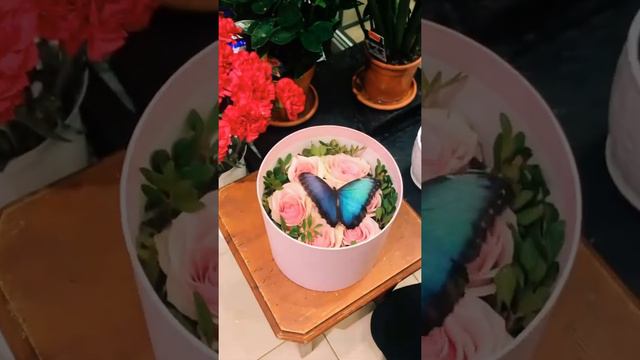 Цветы с бабочками небольшие коробки смотреть онлайн