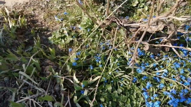 Обзор домов | Станица Динская | Не дорого смотреть онлайн