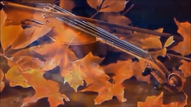 Красивейшая Песня ৡৣথ ТЫ ОДНА ТАКАЯ থৣ❤️ৡৣথ☘️ Beautiful Song LOVE Welcome ► @MobyLife смотреть онлайн