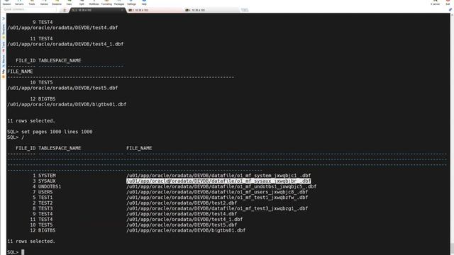 RMAN Recovery Scenario - SYSAUX datafile corrupted or lost - What to do? смотреть онлайн