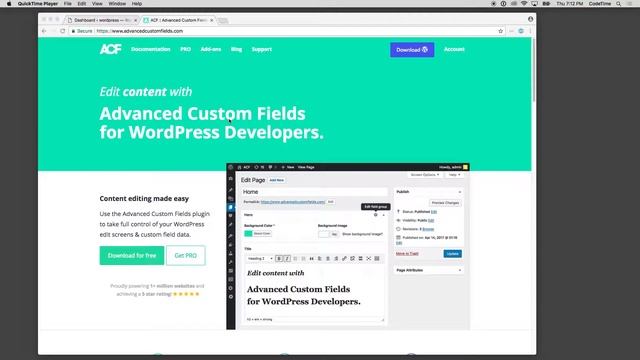 WordPress Advanced Custom Fields, Part 1: Intro смотреть онлайн