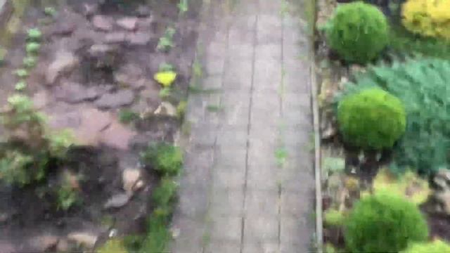 Град . Високосный год. смотреть онлайн