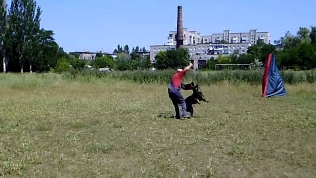 Бессер . просто лобовая смотреть онлайн