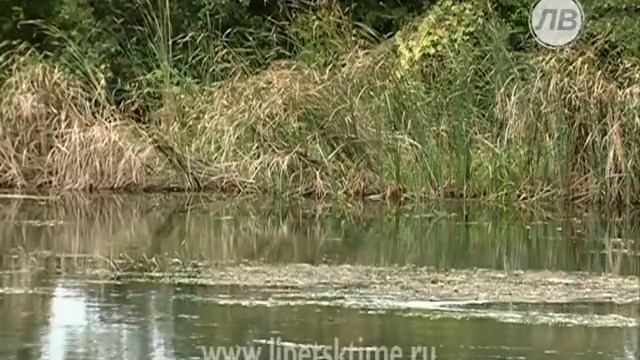 Экологи очистят 26 км реки Воронеж... смотреть онлайн