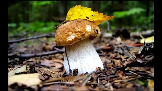 Новолетие 7522 смотреть онлайн