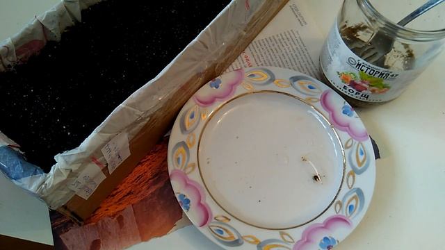 Черемуха маака - размножение семенами - стратификация и посадка смотреть онлайн