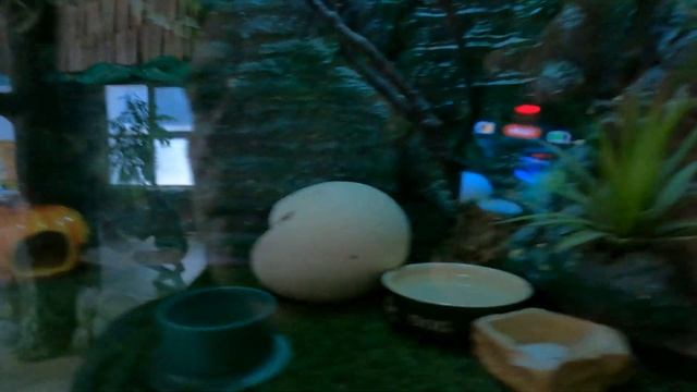 Зоопарк Владивостока.Место, где можно погулять с детьми и получить яркие эмоции. Семейный влог смотреть онлайн