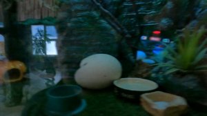 Зоопарк Владивостока.Место, где можно погулять с детьми и получить яркие эмоции. Семейный влог