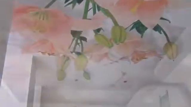 Натяжные потолки в гостиной – идеи и варианты дизайна | Санкт-Петербург компания ЭВИТА смотреть онлайн