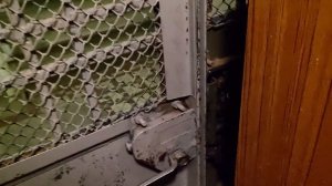 ЛИФТ РАСПАШНИК КМЗ-58 НАЧАЛА 60-Х ГГ (МОСКВА)