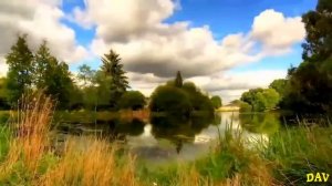 Дидюля   Кофе утром