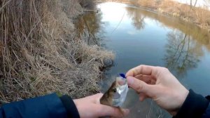 Голавль и жерех на микроджиг на малой реке.Special Baits