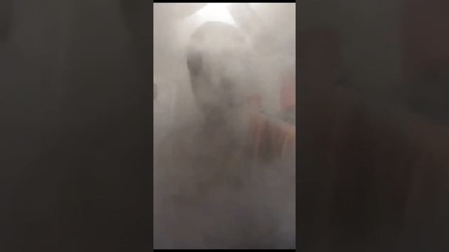 Blew his GD beard off!! смотреть онлайн