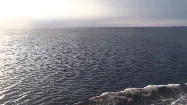 Путь домой . смотреть онлайн