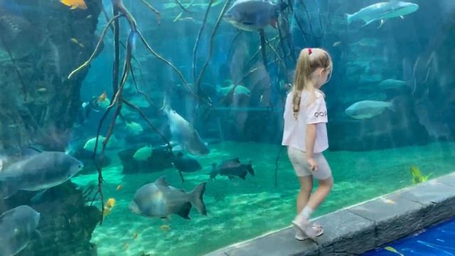 ОКЕАНАРИУМ часть 2/экзотеррариум/крокус сити смотреть онлайн