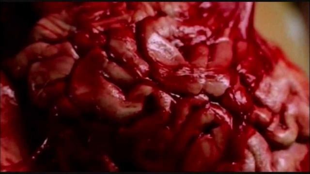 Witchcross-Curse Of The Werewolf смотреть онлайн