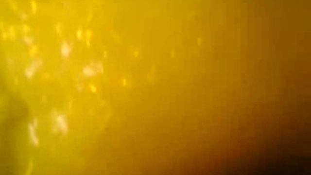 Плевок в коррумпированного судью | Документы после карцера Тамбов смотреть онлайн