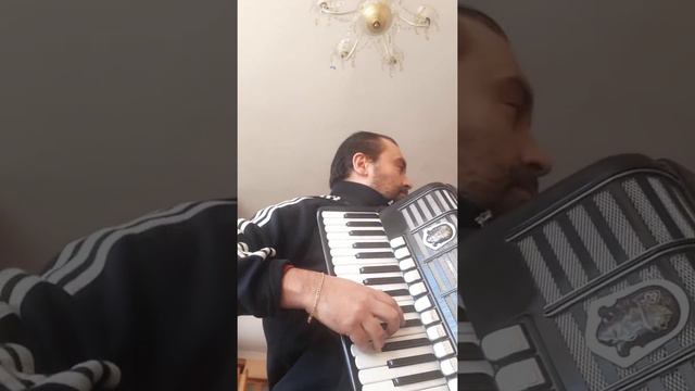 Second Waltz | Dimitri Shostakovich | #accordion #waltz #art #music #funny #viral #accordionplayer смотреть онлайн