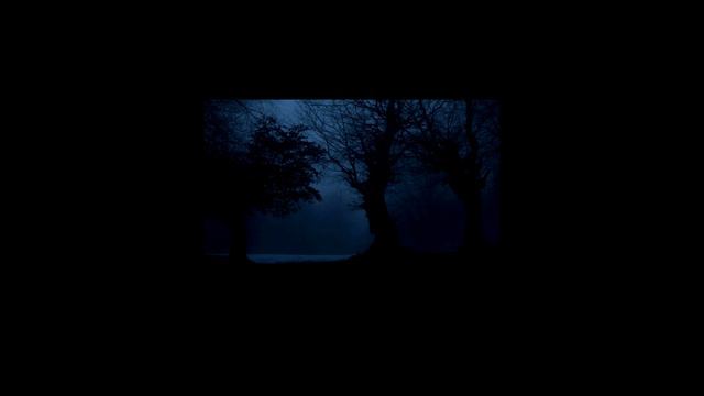 Дядькова Надежда -На цепи смотреть онлайн