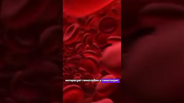 Какие анализы сдать при чувстве постоянной усталости? смотреть онлайн