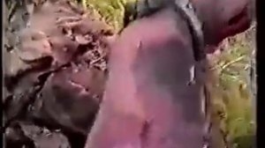 Грачи прилетели