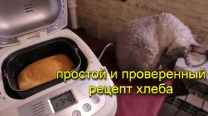 Самый простой и проверенный рецепт, как испечь хлеб в хлебопечке