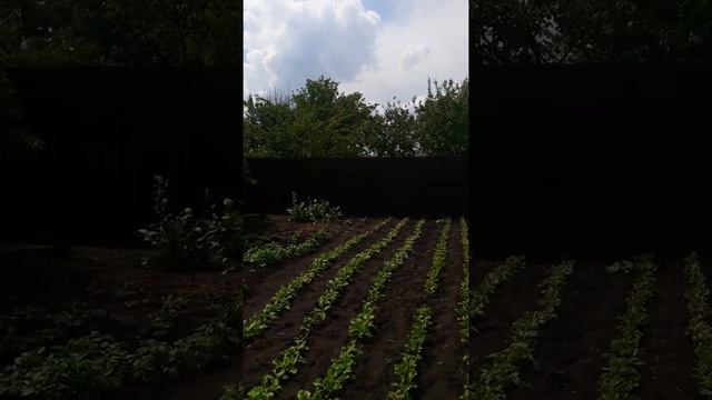 Купить дом в Воронеже т. +7(952)955-99-01 смотреть онлайн