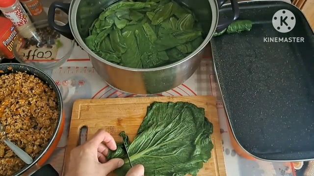 #sarmice, japraci na #tenerifski nacin) od kineskog kupusa#Pak Choi смотреть онлайн