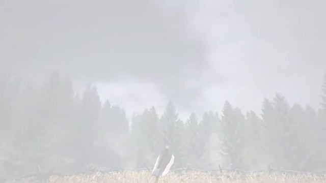 Raubritter on Steam смотреть онлайн