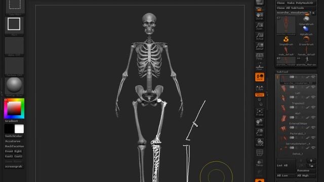 3 Bones as Proportion & Gesture смотреть онлайн