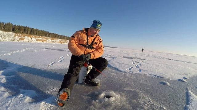 Зимняя рыбалка на берша. Ловля берша на тюльку смотреть онлайн