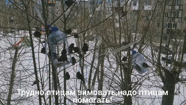 Как помочь птицам перезимовать. смотреть онлайн