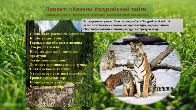 ПРОФЕССИОНАЛЬНОЕ ПОРТФОЛИО смотреть онлайн
