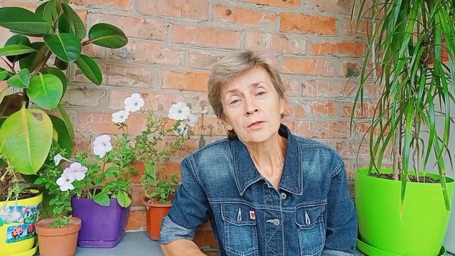 Утренняя свежесть и прохлада, 20 августа Славянск смотреть онлайн