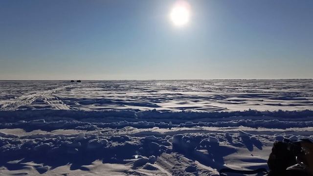 ⏳УЕЛГИ⌛ А все начиналось так хорошо!!!Будьте Аккуратны!!! смотреть онлайн