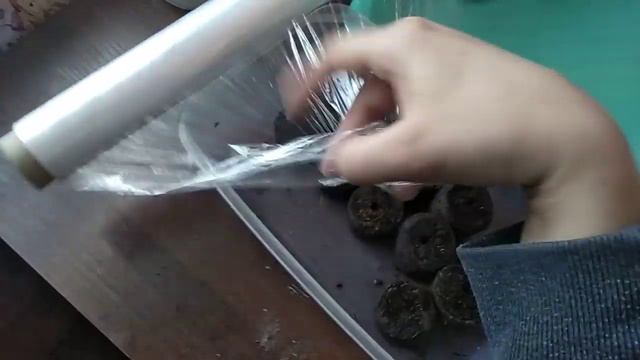 Посадка полуниці 3