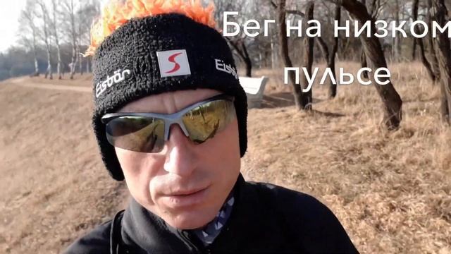 Бег на низком пульсе смотреть онлайн