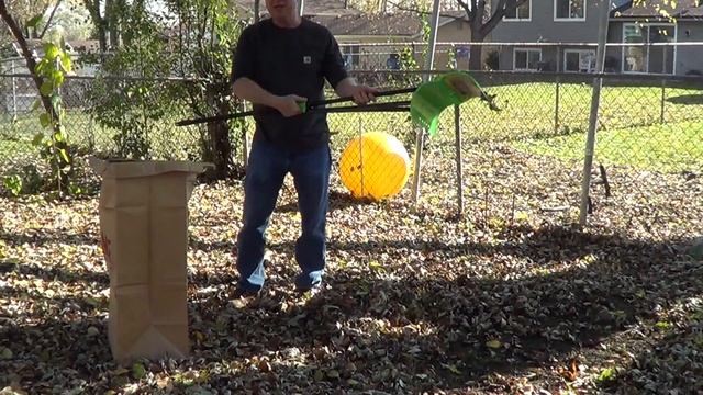 Rake and Pick up Leaves Fast смотреть онлайн