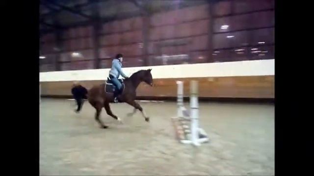 Настя и Боливар смотреть онлайн
