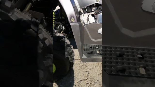 квадроцикл wild 125 смотреть онлайн