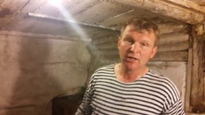 Порода Белый Великан