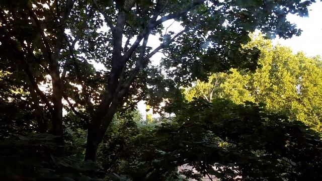 Одесса, 6 июля 2022 года. Улыбка Чеширского Кота и Кот Шредингера смотреть онлайн