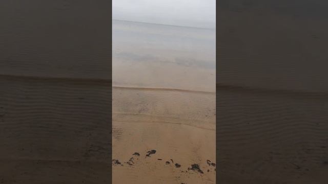 Сестрорецк, провожаем осень смотреть онлайн